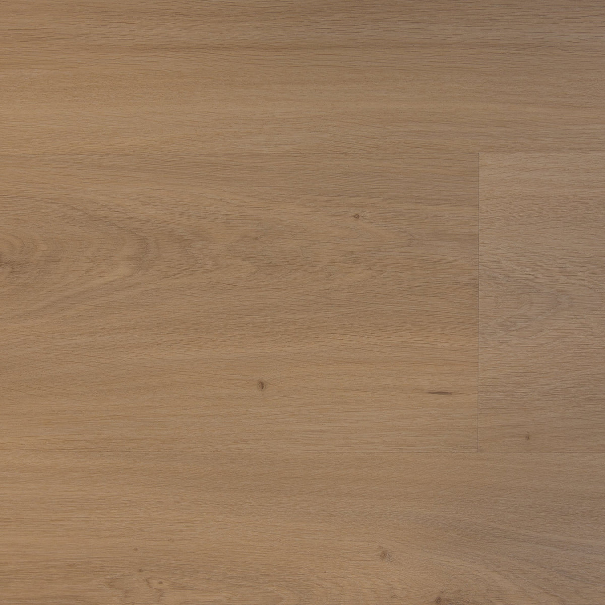 Elegante Plank - Premier Beige - The Art of Living Collectie