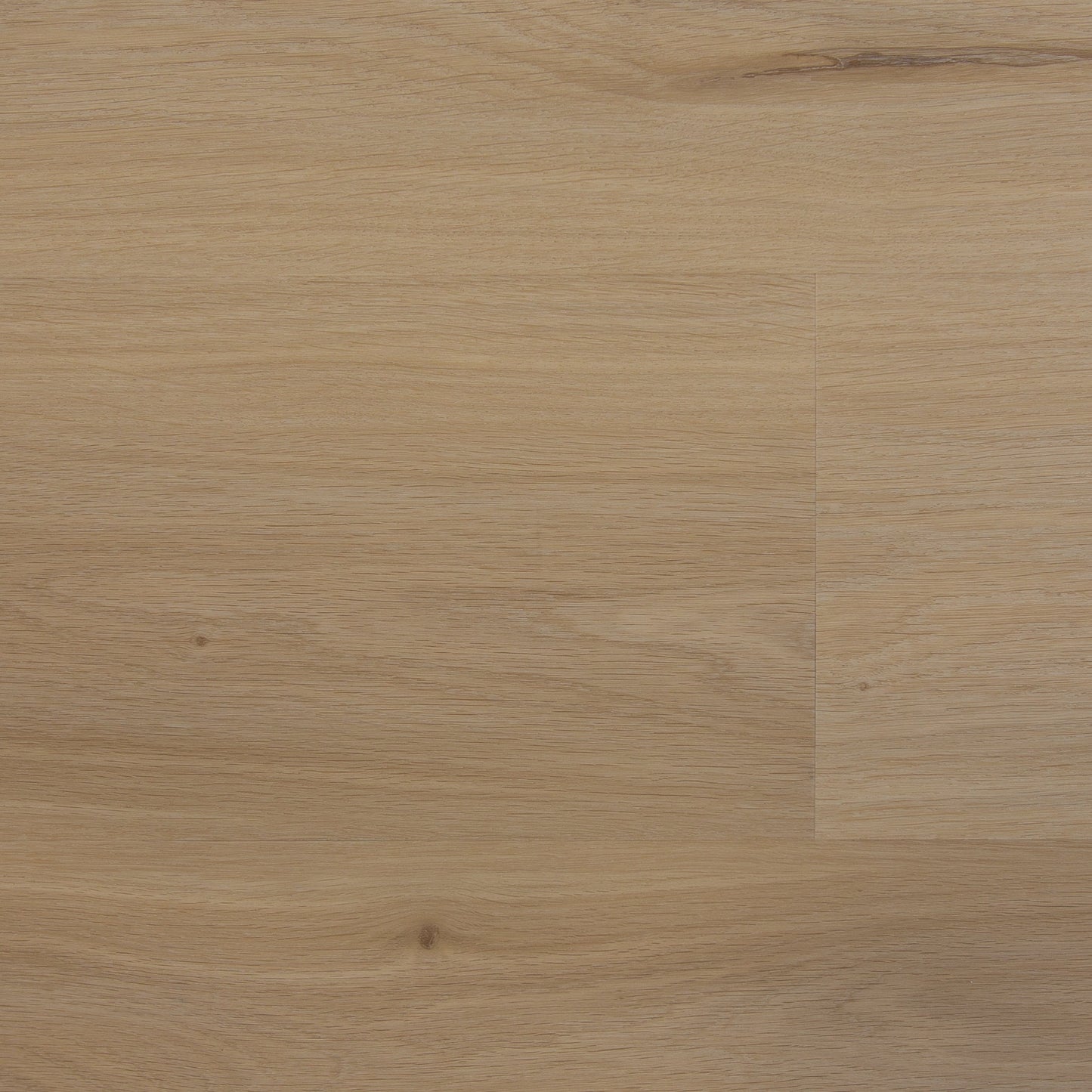 Elegante Plank - Premier Light Natural - The Art of Living Collectie